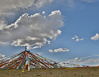 东京热成人网站：霓虹都市极速狂飙，硬核改装征服东京街头-2