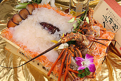 男人和女人一起差差app：双人协同驾驶革新竞速体验，差分驱动新游深度评测