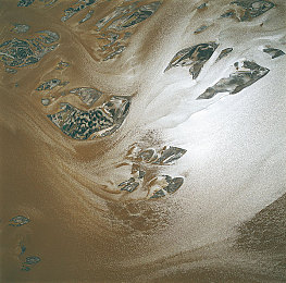 男生和女生一起相差差APP：双人竞速新纪元，差异协作引爆赛道革命-2