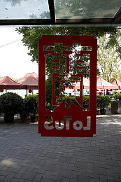 打扑牌又疼又叫免费视频软件：疾速策略，卡牌狂飙的脑力竞速盛宴