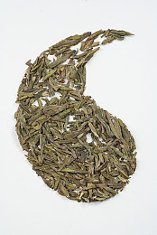 女生和男生一起搓搓:双人共驾新游极速搭档深度评测,默契配合挑战竞速巅峰-2