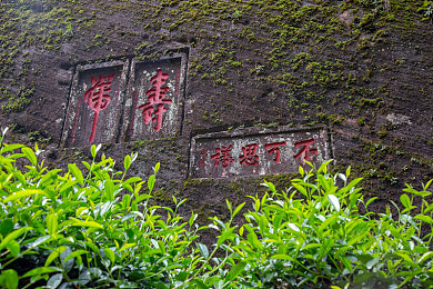 黄色软件网站下3.0.3免费vivo版大全装扮2023：2023年度赛车改装新作，海量免费装扮打造专属座驾-2