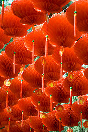 黄色app大全2023:极速狂飙,沉浸驾驶,年度热门赛车游戏深度解析-4