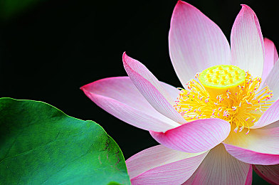 按摩师扒开小泬添我：霓虹车库的脉搏，赛道经络的指尖竞速艺术-3