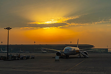 女人和公豬交内谢免费：荒野狩猎者，生态模拟与史诗狩猎的沉浸对决-4