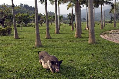 将界2第3集酒店打扑克：灵力赌局，心战巅峰，命运之牌揭晓暗涌玄机-3