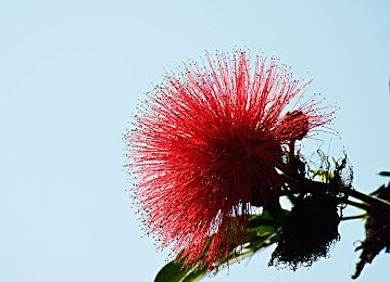 牛娘贝尔：田园竞速新体验，硬核改装与农场经营的双重人生-4