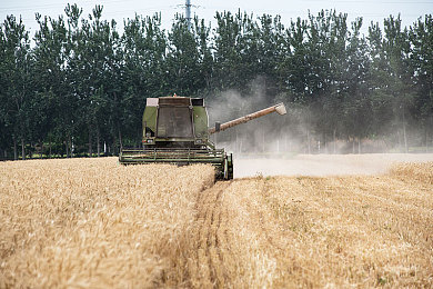 国产男男Gay 体育生:极速竞技场热血羁绊,赛道疾驰间书写青春与情感羁绊-2