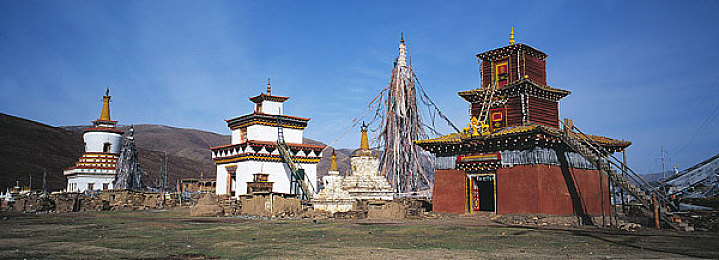 向日葵视频色板大全:《极限调色师》全新温暖色调方案上线,助力打造动感视觉盛宴-4