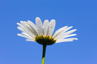 红桃一区二区三区：从新手到高手，赛车游戏的三重进阶心法全解析-2