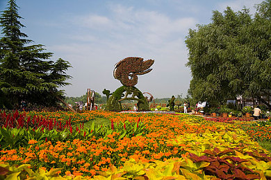 亚洲一一区二二区：东方极速新赛道，征服都市霓虹与雨林险境-4