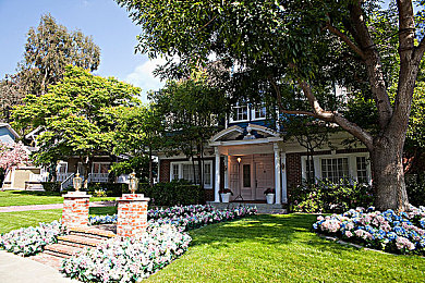 夜间禁用软件排行榜：《暗夜车神》高阶玩家揭秘，黑夜致胜关键竟是卸载这些华丽插件