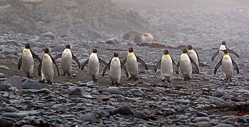 小马拉大车牙签搅大缸：以渺小动力撼动庞然重负的物流诗篇-3