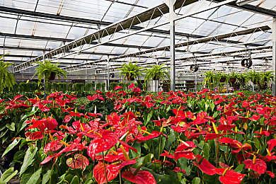 小孩和妈妈一起摘萝卜：《农场物语：家庭旅行》今日上线，真实驾驶与亲子协作开启田园新篇章