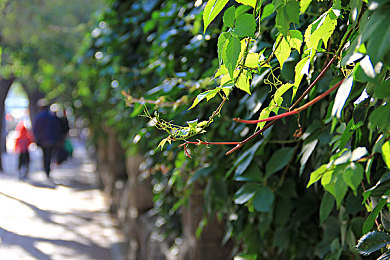 十大禁止安装app有风险：《极速禁区》惊现恶意程序陷阱，玩家改装需警惕虚拟网络风险-4