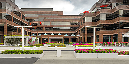 3.03免费oppo版破解大全免费下载:极限狂飙新版评测,专属优化与赛道秘籍全解析-5