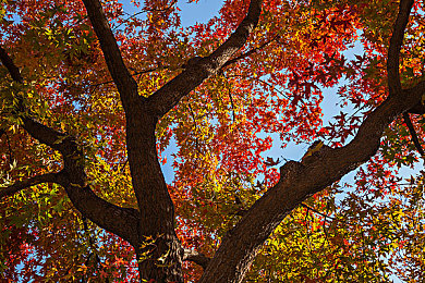 中国少妇ⅩXXX：家庭主妇的逆袭，地下赛车点燃都市女性速度与激情-3