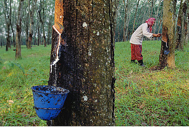 sesee99：在动态代码中驾驭无尽道路的哲学赛车-2