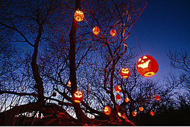 蝌蚪网一个释放的网站：在墨西哥的广阔天地中，尽享极致驾驶与自由探索的乐趣-2