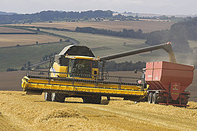 麻豆91天美：昼夜疾驰九十一日，自定义车手征服未来都市-1