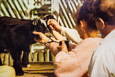 时间静止学院1~4顺序：时空竞速新纪元，驾驭静止的赛车哲学正式完结-3