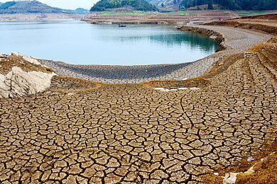 黄色软件a下载3.03：极限竞速地平线5，驾驭黄色闪电驰骋墨西哥画卷-4