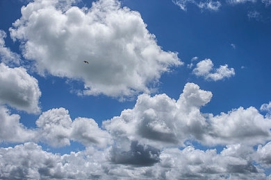 神秘电影麻豆：霓虹影都谜案，赛车与侦探交织的沉浸之旅