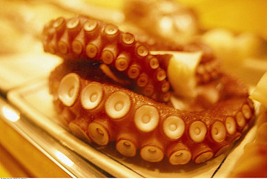 中国妓女买淫BBW：霓虹深渊中的道德抉择，侦探揭开虚拟交易黑市阴谋