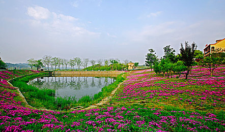 明星换脸淫梦赵丽颖在线：星轨幻装，极速重构，霓虹都市竞逐之影-5