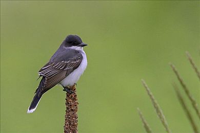 а√天堂8中文：次世代竞速艺术登场，极速天堂复兴重塑驾驶美学与沉浸体验-3