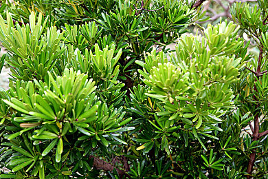 东京热搜app免费版：虚拟都市极速狂飙，热搜驱动街头竞速新体验-3