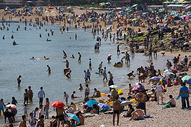 精品三区四区五区：驾驭地平线，征服街头荒野与赛道的三重驾驶艺术-4