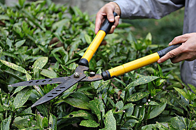 黄台网站404：当速度迷失于数字迷雾，赛车遗产的永恒竞逐-3