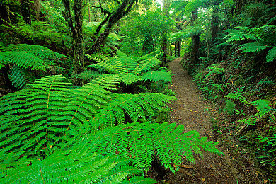国产av黄色：霓虹幻影疾驰登场，全新超跑引领极速狂飙体验-3