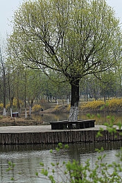 一小孩和妈妈摘胡萝卜：田园物语温情上线，亲子驾驶共赴田园采摘之旅-3