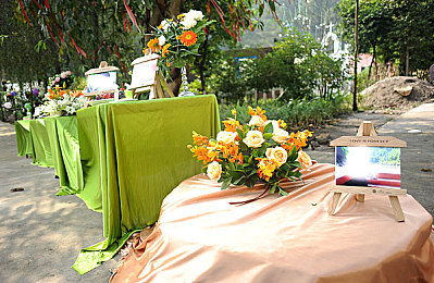 www huangse：疾速美学，赛道上的亮黄风暴席卷游戏世界-3