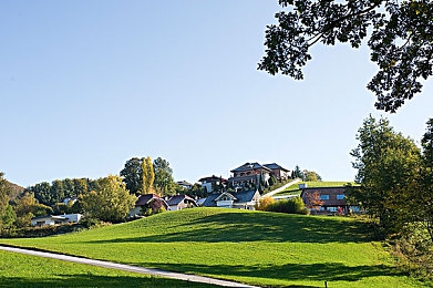 51朝阳区热心网：极限竞速地平线5深度攻略，打造你的专属车友社群与赛事