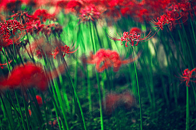 男生坤坤和女生坤坤：极速幻影全新DLC上线，双生角色引爆竞速对决新潮流