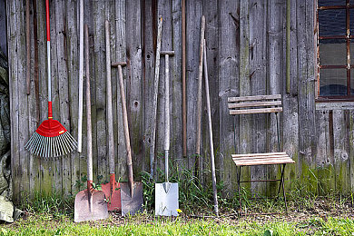 黄色免费下载软件:墨西哥画卷中的极速狂欢,地平线嘉年华永不落幕的引擎交响诗-3