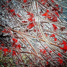 搞机time10分钟不用电信：极限竞速地平线5离线飙车，体验纯粹驾驶乐趣-2