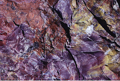 黄色软件下载安装3.3.0最新版：极速狂飙新版震撼上线，全新赛道与车辆升级带来极致驾驶体验-4