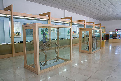 黄色app大全3.03:像素狂飙极速挑战新版上线,全新赛道与车辆升级系统揭秘-2