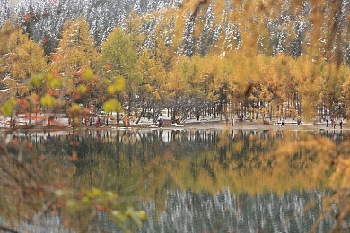 色狼App：霓虹都市极速追踪，全新动态视觉竞速游戏正式上线-4