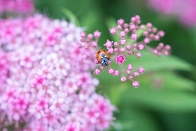 国产乱交：本土赛车新作颠覆传统，开放世界混战模式引爆驾驶狂潮-2