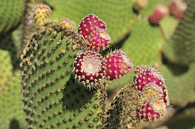 3.0.3免费oppo版下载大全:疾驰于霓虹雨夜,指尖征服街头赛道-5