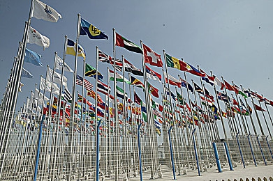 禁18软件：虚拟驾照考场，成年玩家的速度与心智试炼场-3