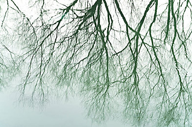 黄色软件下载一天无限次3.30：极速挑战，昼夜无阻的无限竞速之旅-2