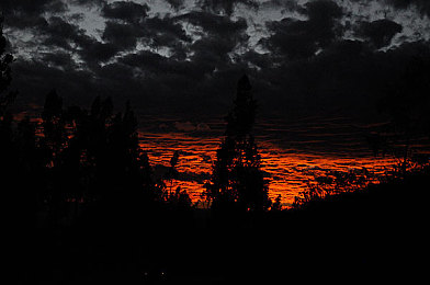 脱狱者侵犯在线播放：《极速越狱》今日上线，直播逃亡引爆全网，真实观众决定你的逃脱之路-3