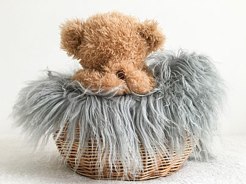 未满十八网站：墨西哥风沙中的虚拟驾照，青春赛道上的成人礼-1