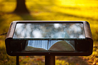 成人福利App导航入口：探秘地平线5隐藏玩法，夜间赛事解锁限定涂装与车辆